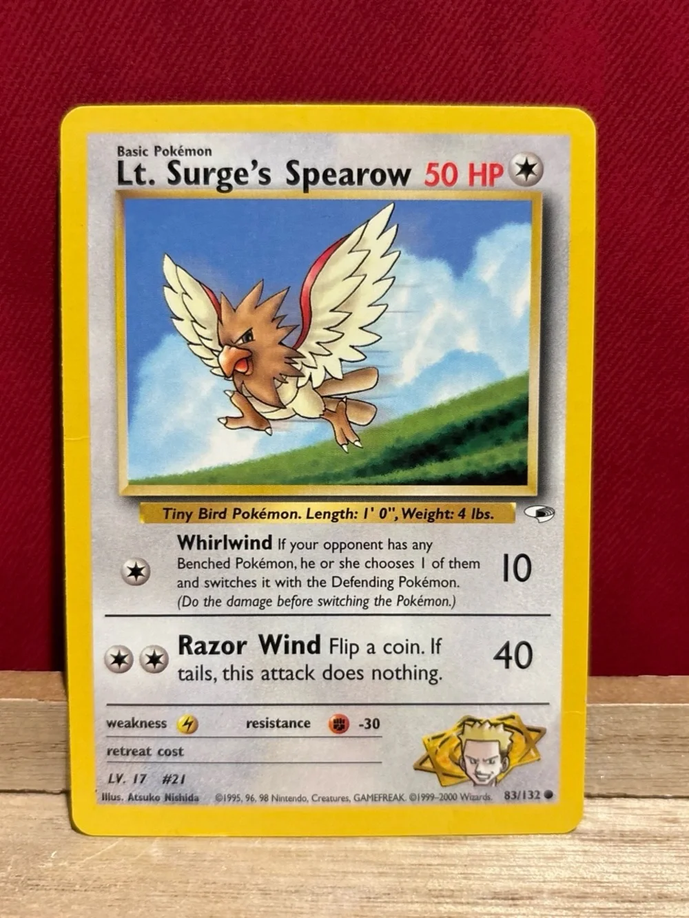 Pokémon cards, Gym leader pokemon card bundle
